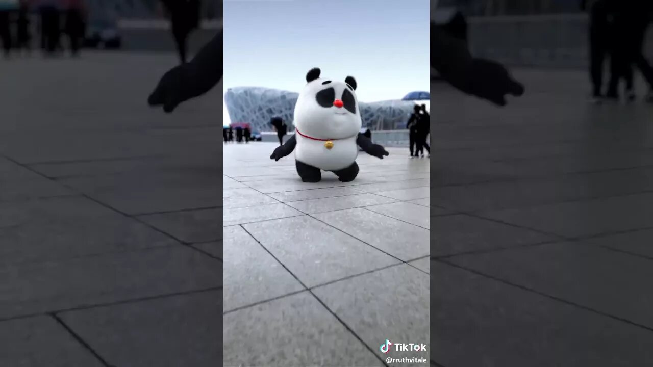 Панда из тик тока. Пандочка из тик тока. Панда танцует. Панда танцует тик ток. Панда танцует видео