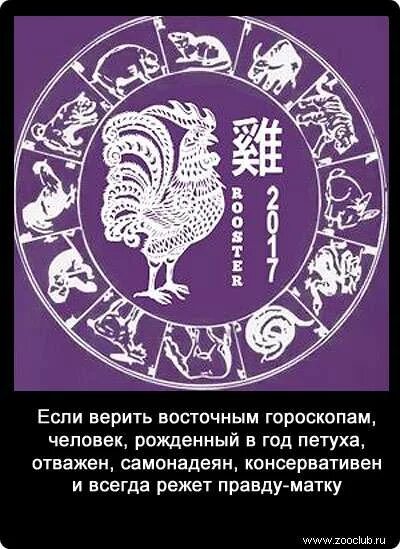 Мужчина петух по гороскопу. Год петуха характеристика. Петухи с характером. Гороскоп по годам. Гороскоп рожденным в год петуха.