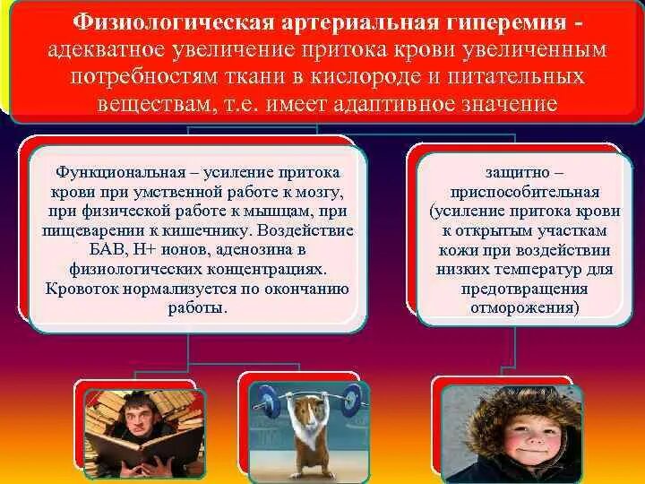Физиологическая гиперемия. Физиологическая артериальная гиперемия. физиологическая гиперемия причины. физиологическая артериальная гиперемия причины. патологическая артериальная гиперемия причины возникновения.