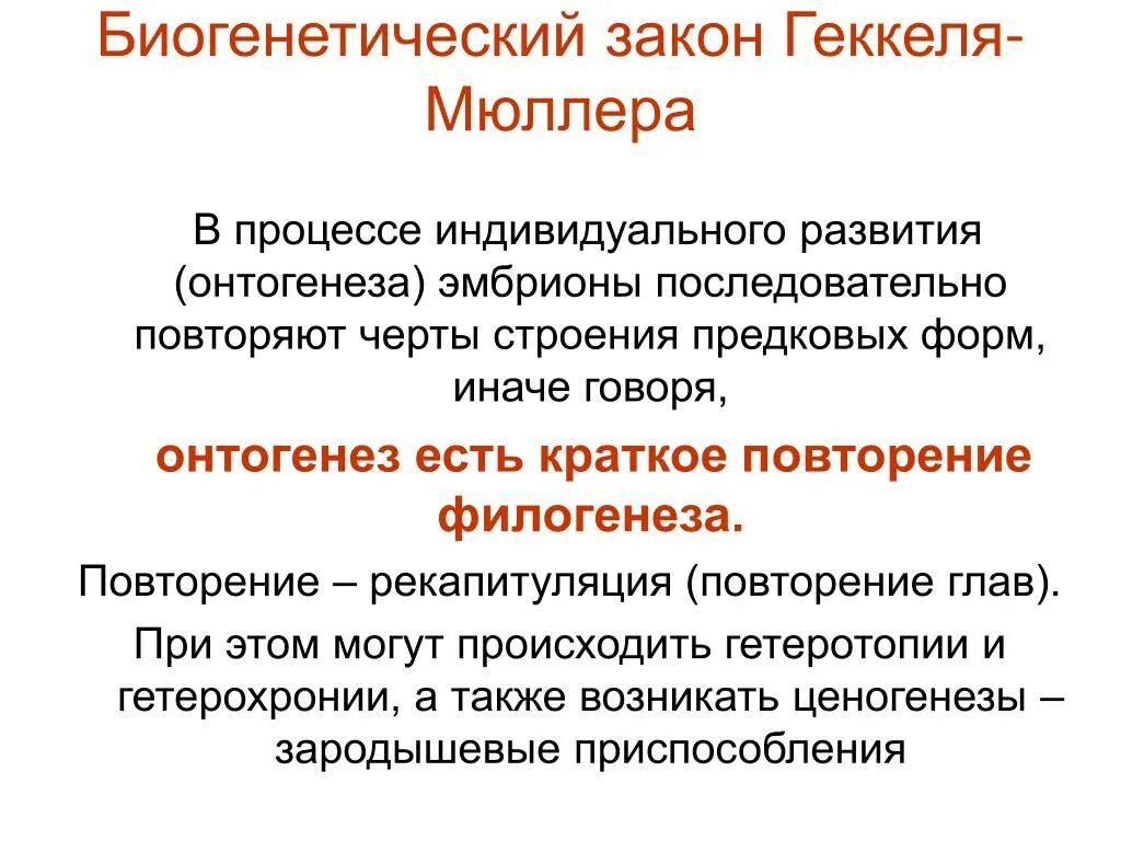 Дать определение онтогенез. Закон Геккеля и Мюллера биогенетический закон. Биологический закон Мюллера-Геккеля. Биогенетический закон Геккеля. Основной биогенетический закон Геккеля-Мюллера.