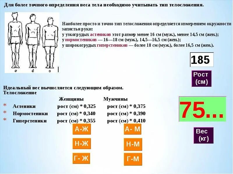 Калькулятор типа телосложения