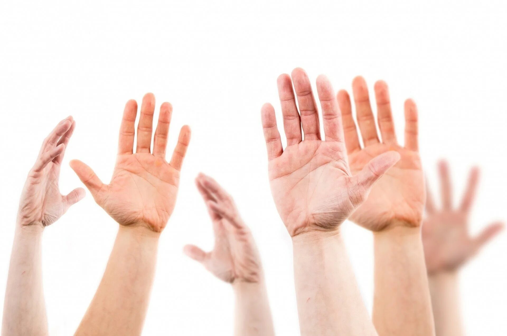 At first hand. Расы руки. одобрямс картинки. картинка голосующие руки. raised hand.