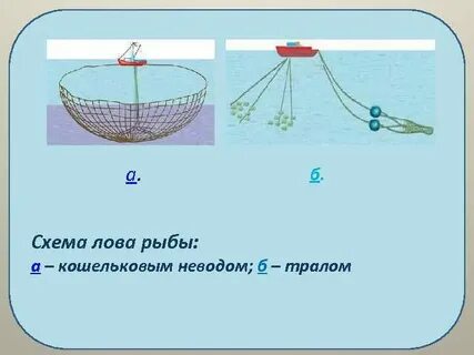 Ловить схема