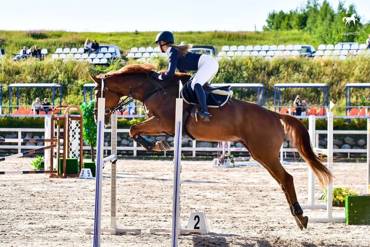 Драйвинг конный спорт. Инесса меркулова токио 2021. Шарлотта фрай конный спорт. Конезавод занятия конным спортом рядом с городом дубна конкуру. Конный спорт выездка конкур троеборье.