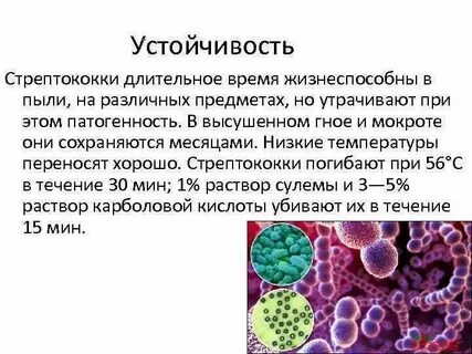 Стафилококк половым