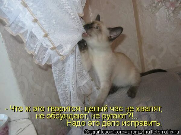 исправь ошибки. исправьте ошибки в поговорках. не царское дело. картинка не царское это дело. не царское это.