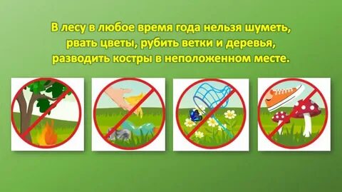 Разговоры о важном день земли