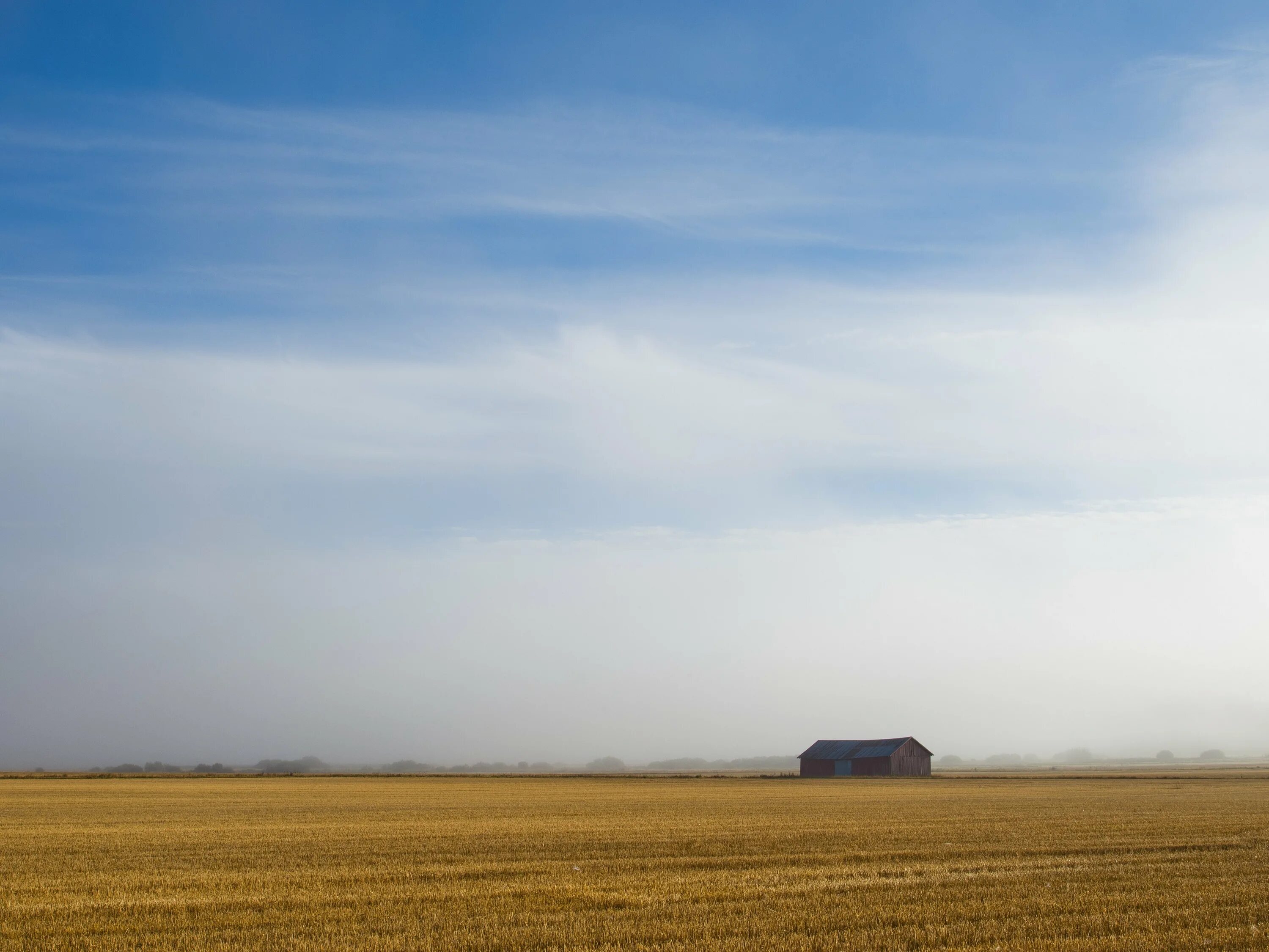 Глубокой осенью заметно пустеют леса и поля на берегах текст ответы. Вставьте пропущенные буквы и знаки препинания. Поздняя осень в поле. В поле. Белое поле.