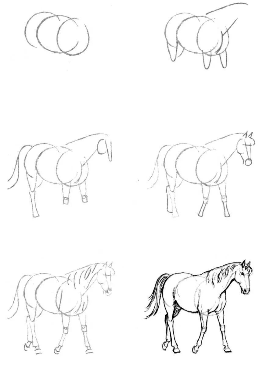 Рисуем лошадь поэтапно. Как рисовать лошадь поэтапно карандашом. Лошадь рисунок карандашом. Легкие рисунки для срисовки. Рисунок лошади карандашом пошагово.
