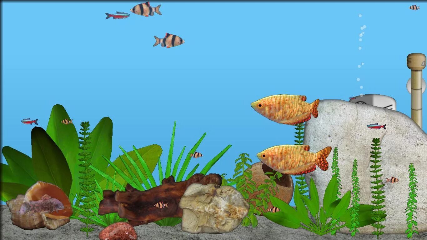 Игра аквариум. Игра аквариум с рыбками. Компьютерная игра аквариум.