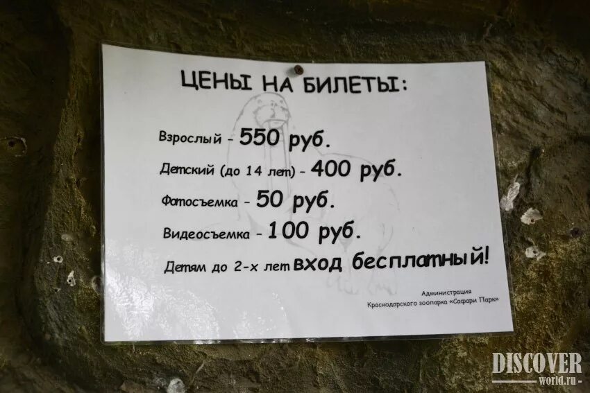 Билет в зоопарк Краснодар. Сафари парк Краснодар стоимость билета. Сафари парк Краснодар стоимость билета график. Стоимость билета в сафари парк.