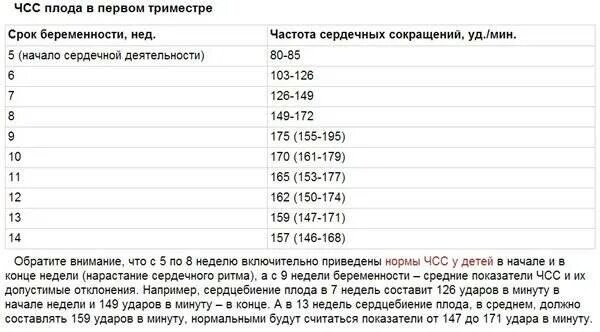Высокий пульс 2 триместр