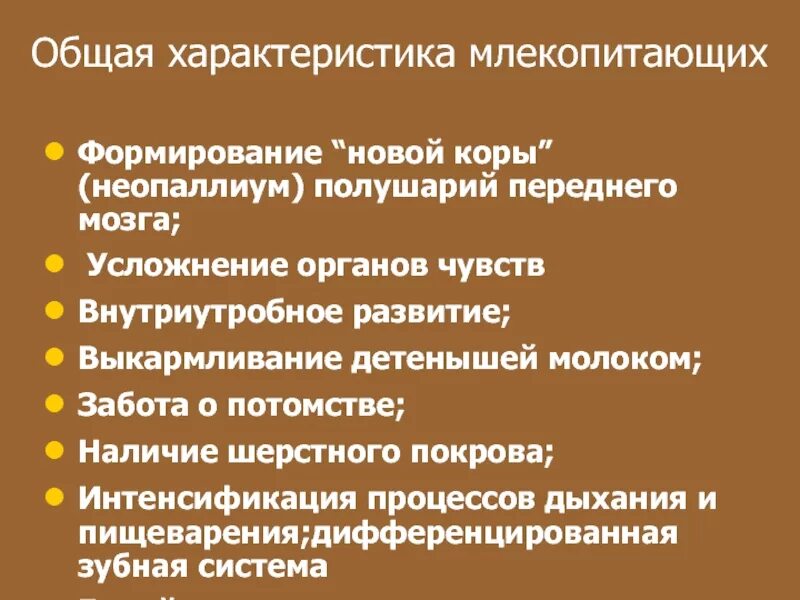 Общая характеристика млекопитающих. Основная характеристика млекопитающих. Класс млекопитающие общая характеристика. Общая характеристика млекопитающих 7. Характеристика млекопитающих 8 класс биология