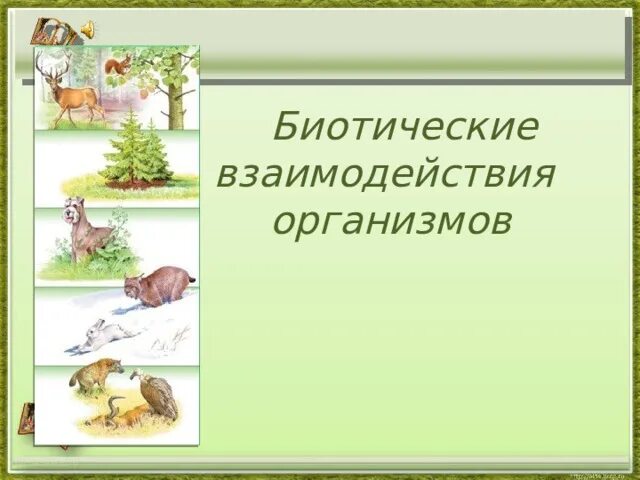 Биотические связи в природе таблица. Биотические связи таблица с примерами. Биотические взаимоотношения организмов. Примеры биотических отношений. Характеристика биотических связей.