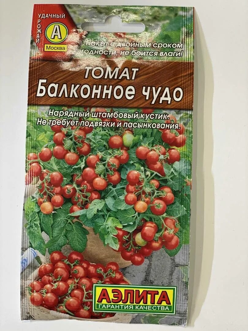 выс. балконная звезда томат. сорт балконное чудо отзывы. семена черри балконное чудо семена. помидоры черри балконное чудо.