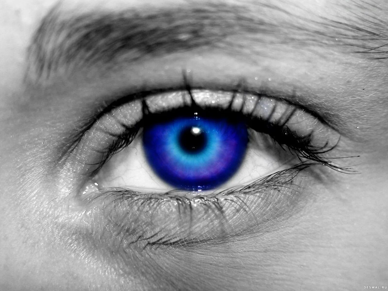 Голубые глаза. Синий цвет глаз. Очень голубые глаза. Глаз человека.