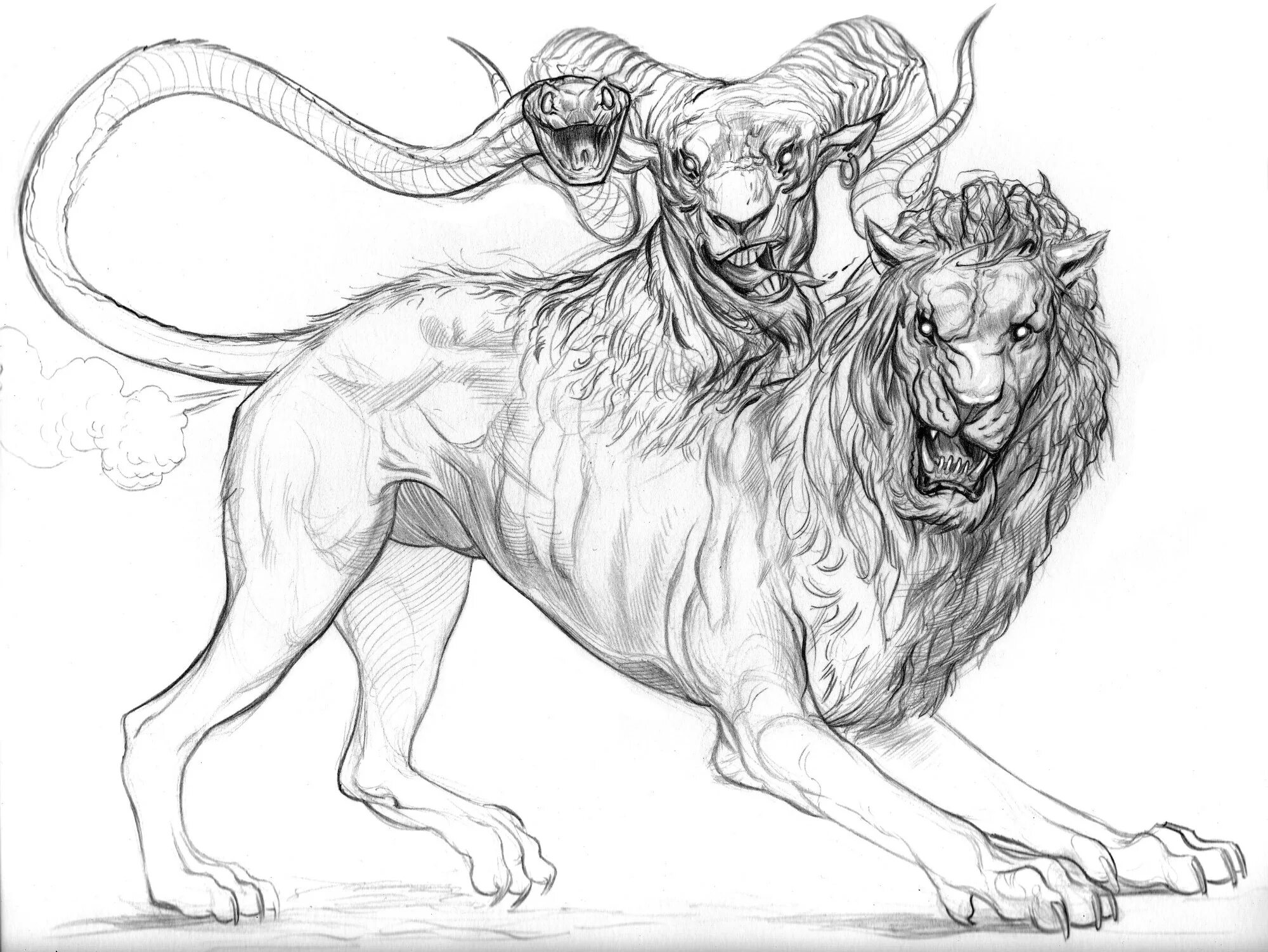 Химера раскраска. Химерные изображения. Химера карандашом. Химерные изображения методика. Орф мифическое существо анатомия.