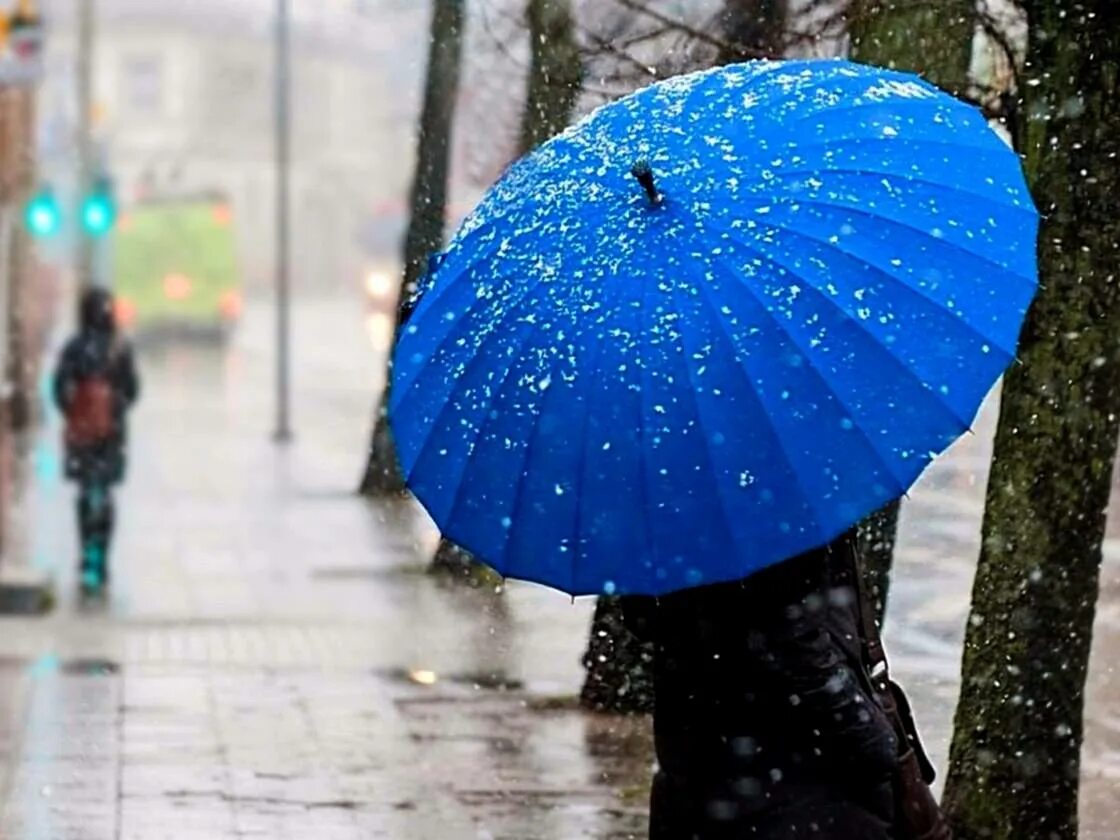 дождливый день. над лужей. звук дождя за окном. минус 2 дождь. дождь в декабре.