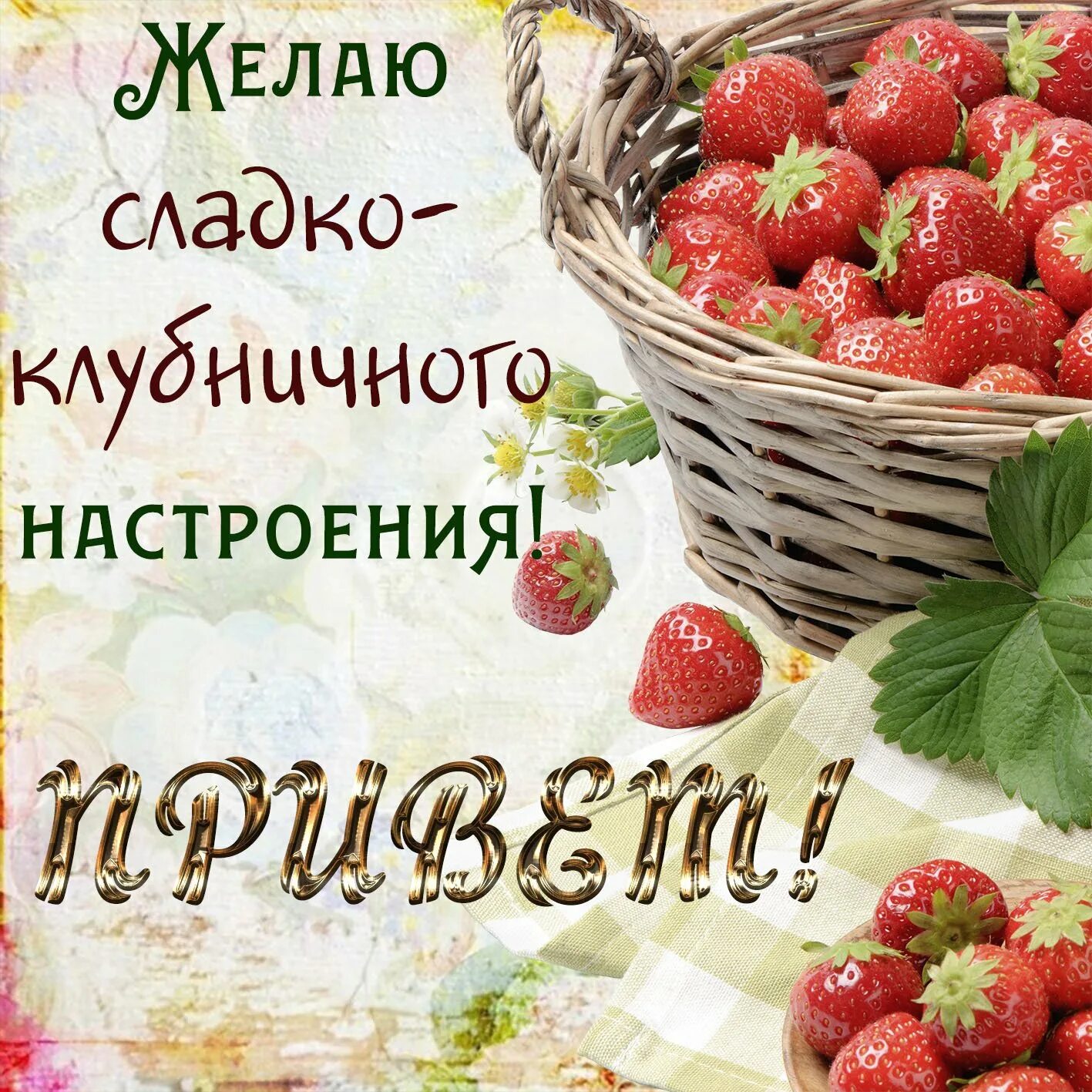 Хорошего плодотворного дня. Открытки летнего настроения. Открытки с добрым днём летние. Летнего настроения пожелания. Доброго летнего утра и хорошего настроения.