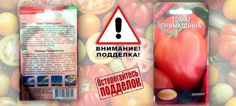 Сорта томатов примадонна отзывы
