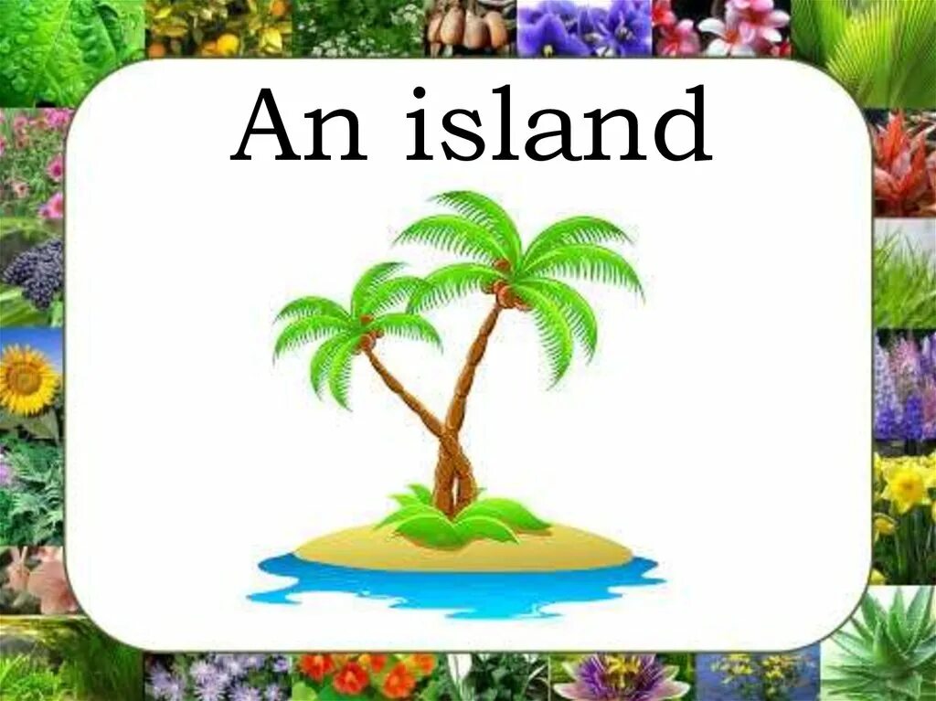A magic island 2. Английский Исланд. A Magic Island 2 класс. Спотлайт 2 класс a Magic Island. Рисунок my Holidays.