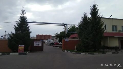 Щербинка южная 10
