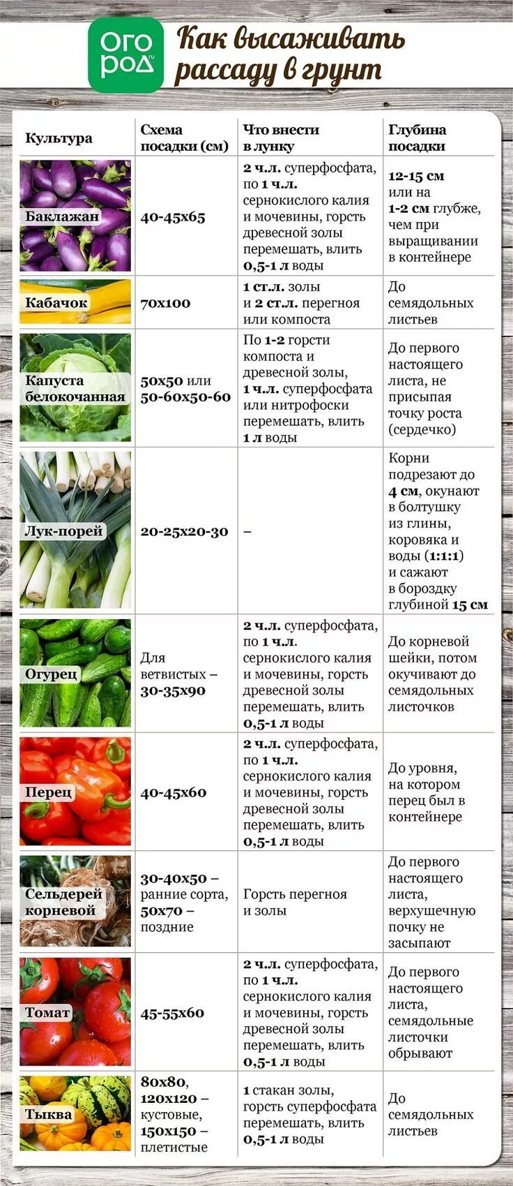 Что положить в лунку при посадке перца. Схема подкормки рассады овощных культур. Таблица высадки овощей на рассаду. Таблица сроков высадки рассады овощей. Таблица рассады овощей для высадки в грунт.