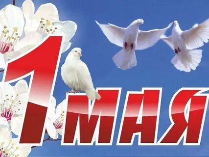 Тур с 28 апреля по 1 мая