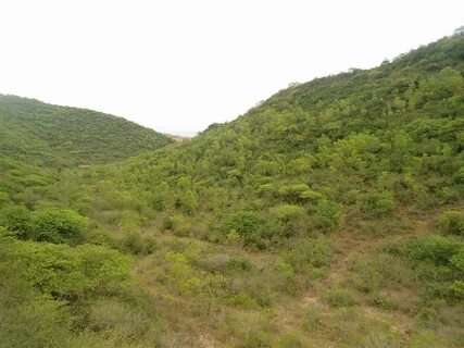 Dry east