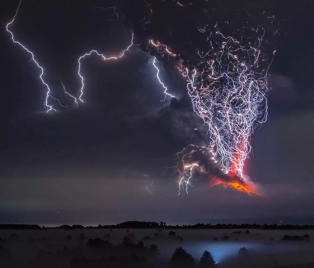 дерево эстетика. мощь природы. парк секвойя калифорния. дерево жизни. мощь дерева.