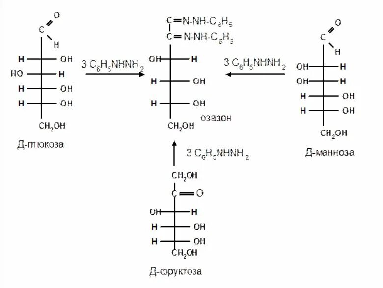 Образование озазона из фруктозы. Гидролиз озазона Глюкозы. Образование озазонов Глюкозы. Озазоны моносахаридов. Фруктоза гидролиз реакция