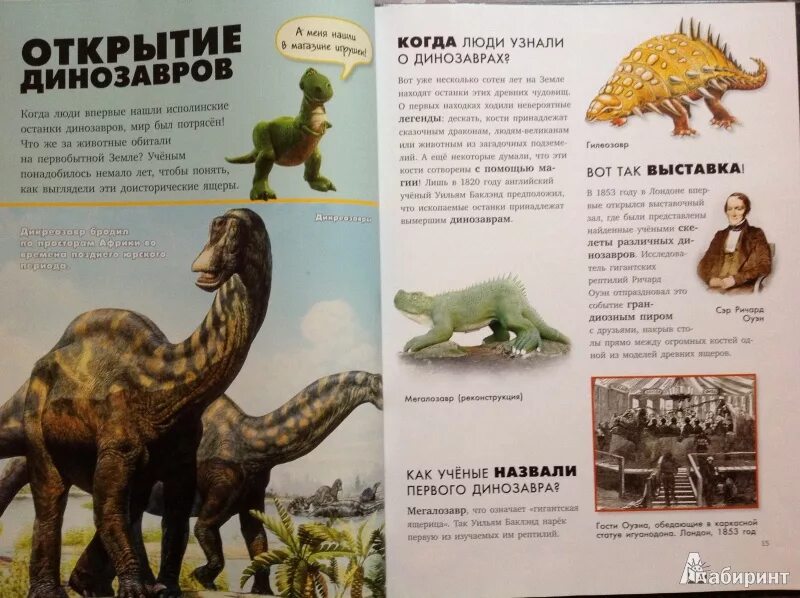 Сказки читать динозавров. Книга динозавры. Книга про динозавров для детей. Динозавр читает. Динозавр читает книгу.