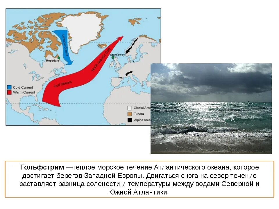 Гольфстрим и Лабрадорское течение. Атлантика течение Гольфстрим. Южное течение Гольфстрим. Течение Гольфстрим в Баренцевом море. Климат бассейна атлантического океана