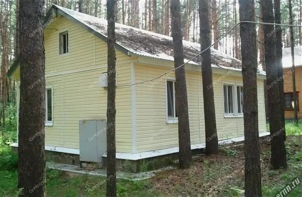 Погода буревестник нижегородской область. Лагерь буревестник нижегородская область. Погода буревестник нижегородской область. Девушки из пос буревестник нижегородская область. Поселок буревестник.