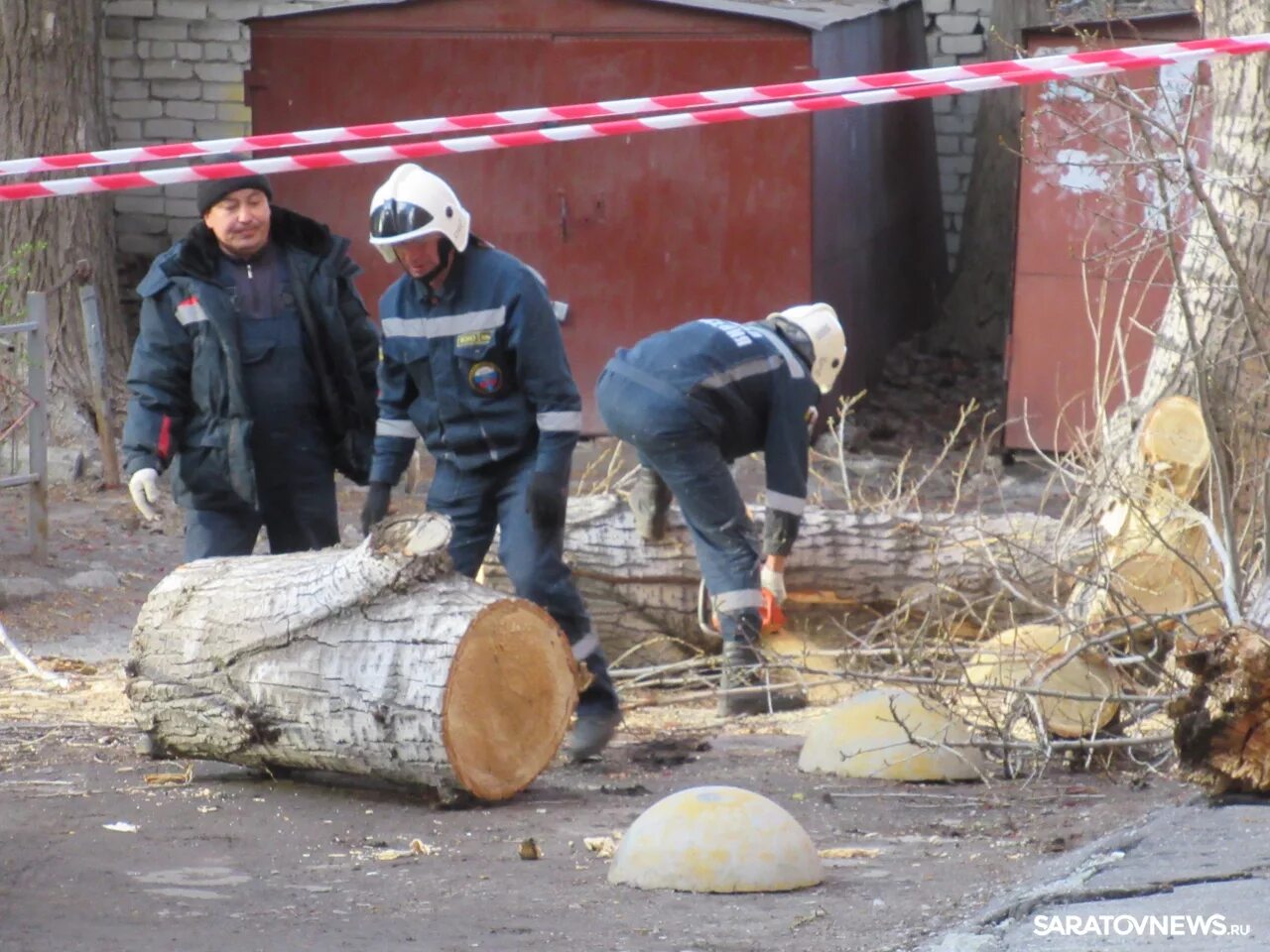 Спилили дерево с террористом. Дерево обрушилось на детскую площадку. МЧС пилят дерево. Упал Тополь в Ростове. Упали тополя Псков 2023.