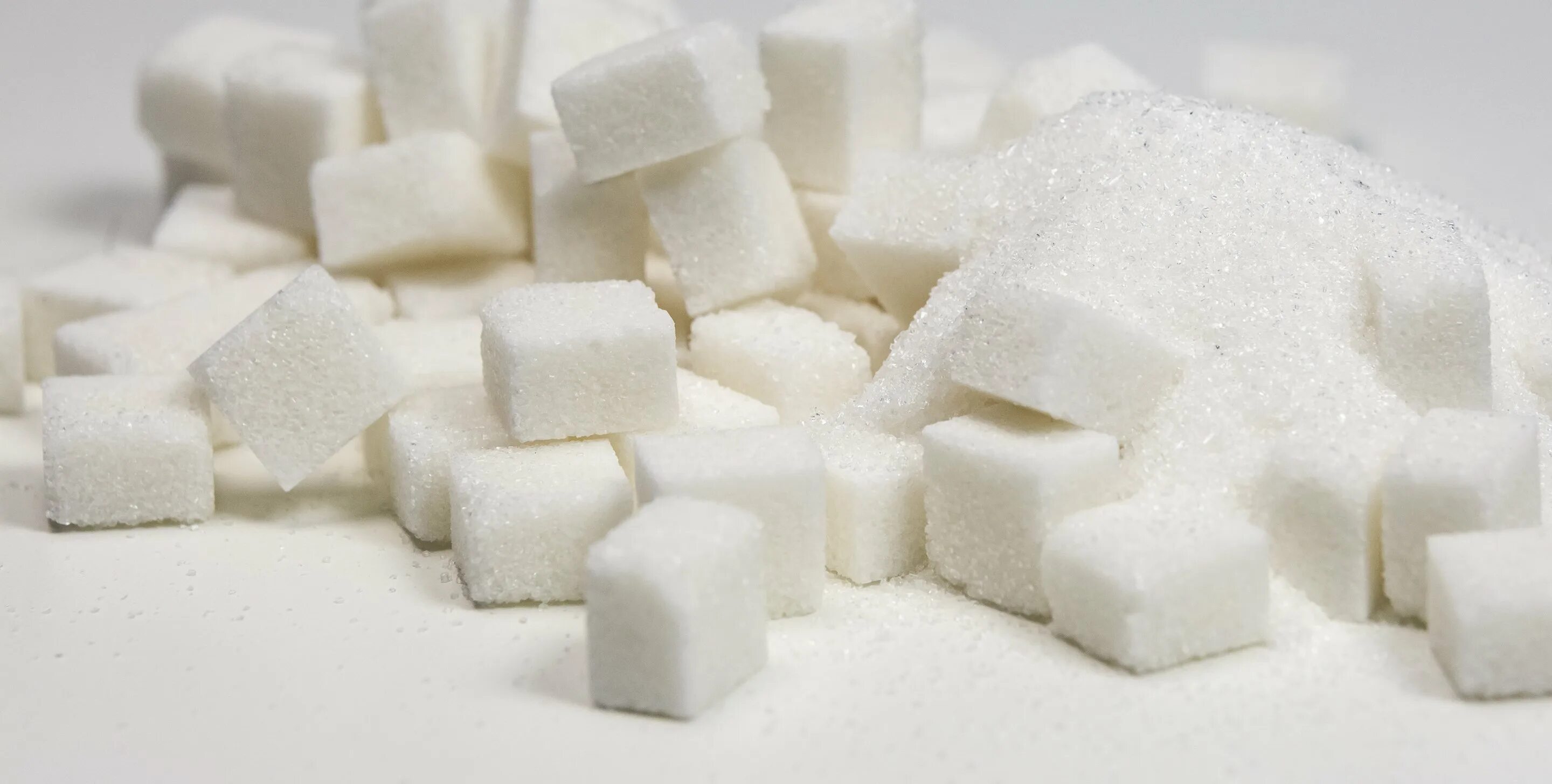 Сахар плотный. Свекловичный сахар рафинад. Свекольный сахар. Производители сахара. Сахар производитель.