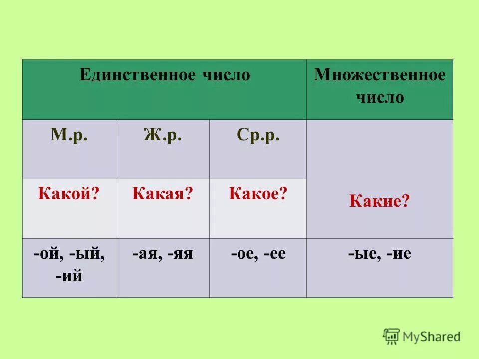 белый средний род
