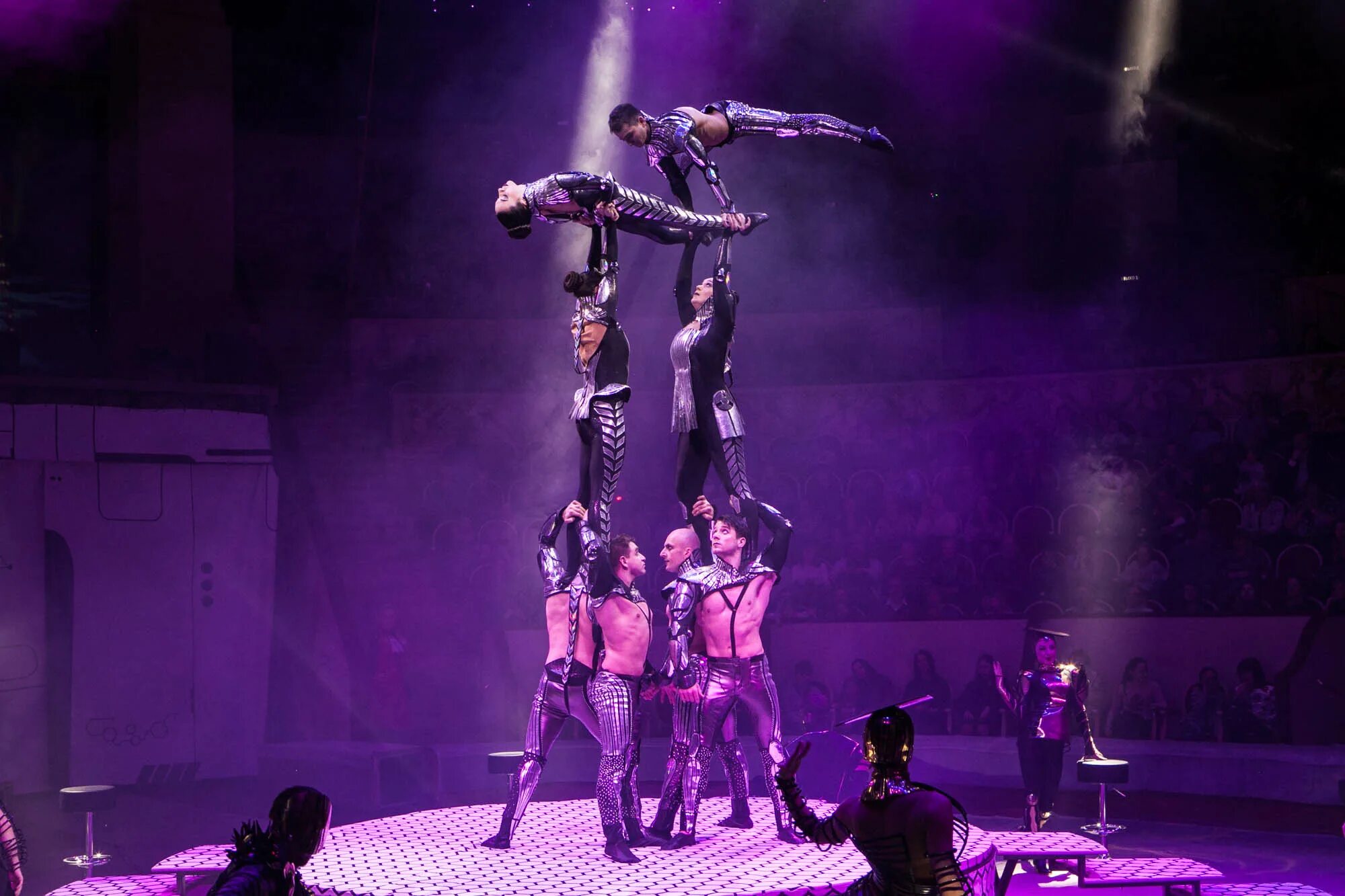 Запашные цирк акробаты. Акробат запашных. Братья запашные аскольд. Цирк запашные тигры. Акробат запашных.