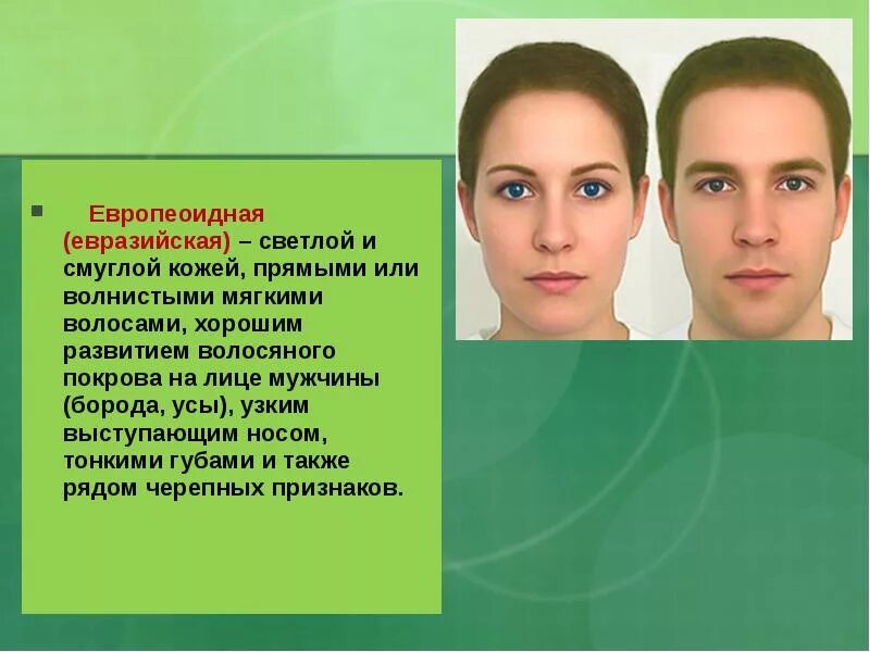 Выступающие скулы жесткие волосы узкий нос. Мужское лицо в профиль. Анджелина джоли анфас. Выступающие скулы жесткие волосы узкий нос. Короткие стрижки для ромбовидного лица.