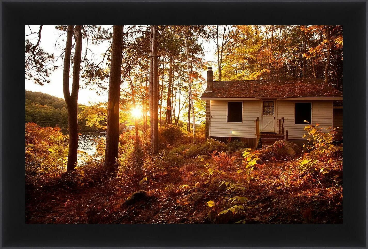 Уютный домик в лесу. Красивый домик в лесу. Дом в осеннем лесу. Домик в осеннем лесу.