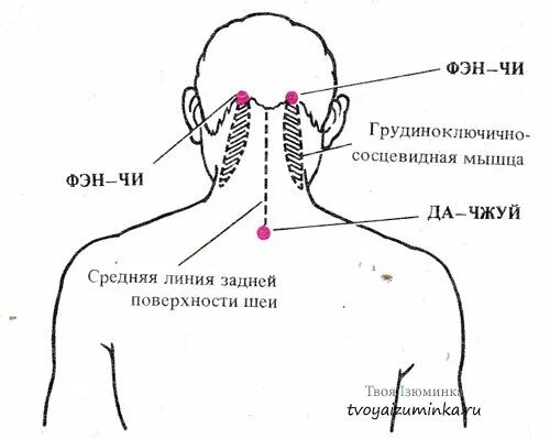 Точечный массаж при шейном хондрозе схема. Точки на шее для массажа с описанием и схемами. Можно массаж при орви