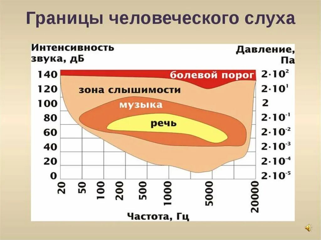 Границы человеческого слуха. Диапазон слышимости человека. Порог слышимости человека. Диапазон слышимости человеческого уха. Средние частоты звука