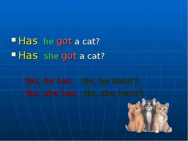He has got pets. She has got a Cat. Has he got a Cat. Cat have has или had. Cats has got или have.