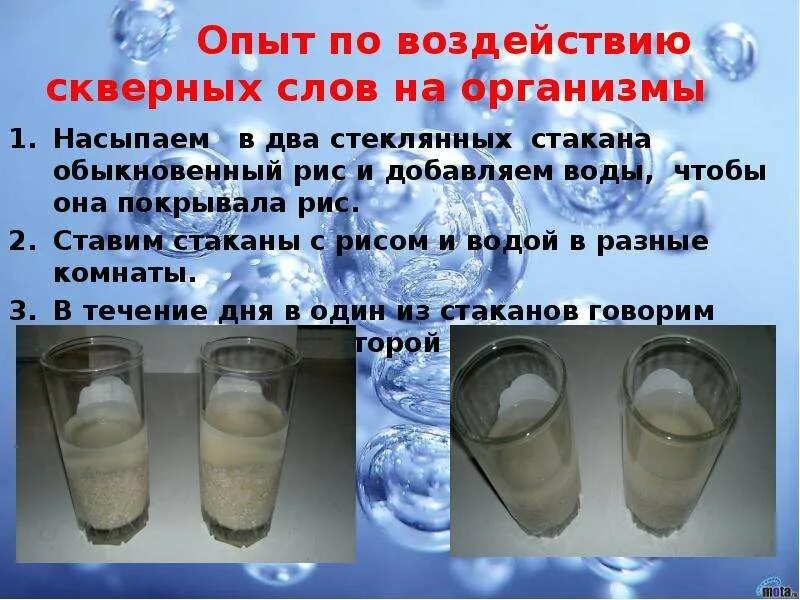 Эксперимент с рисом и словами. Стакан риса стакан воды. Воды на стакан риса. Опыт с рисом и водой на слова. На 1 стакан риса сколько воды надо