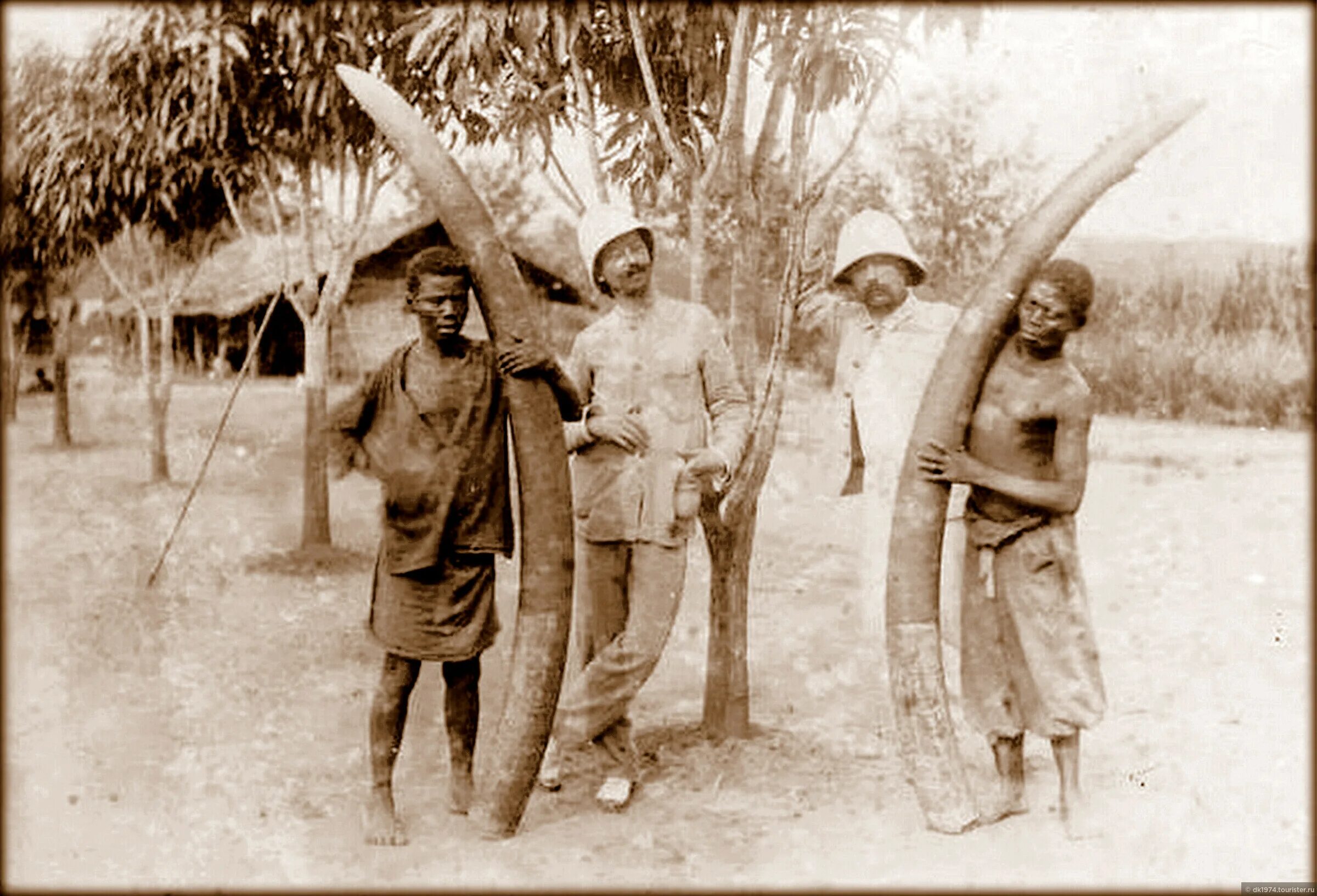 Африка 19 века колониальная. Колонизация Африки в 19 веке. Конго 19 век отрубленные руки. Колонизаторы в Африке 19 век.