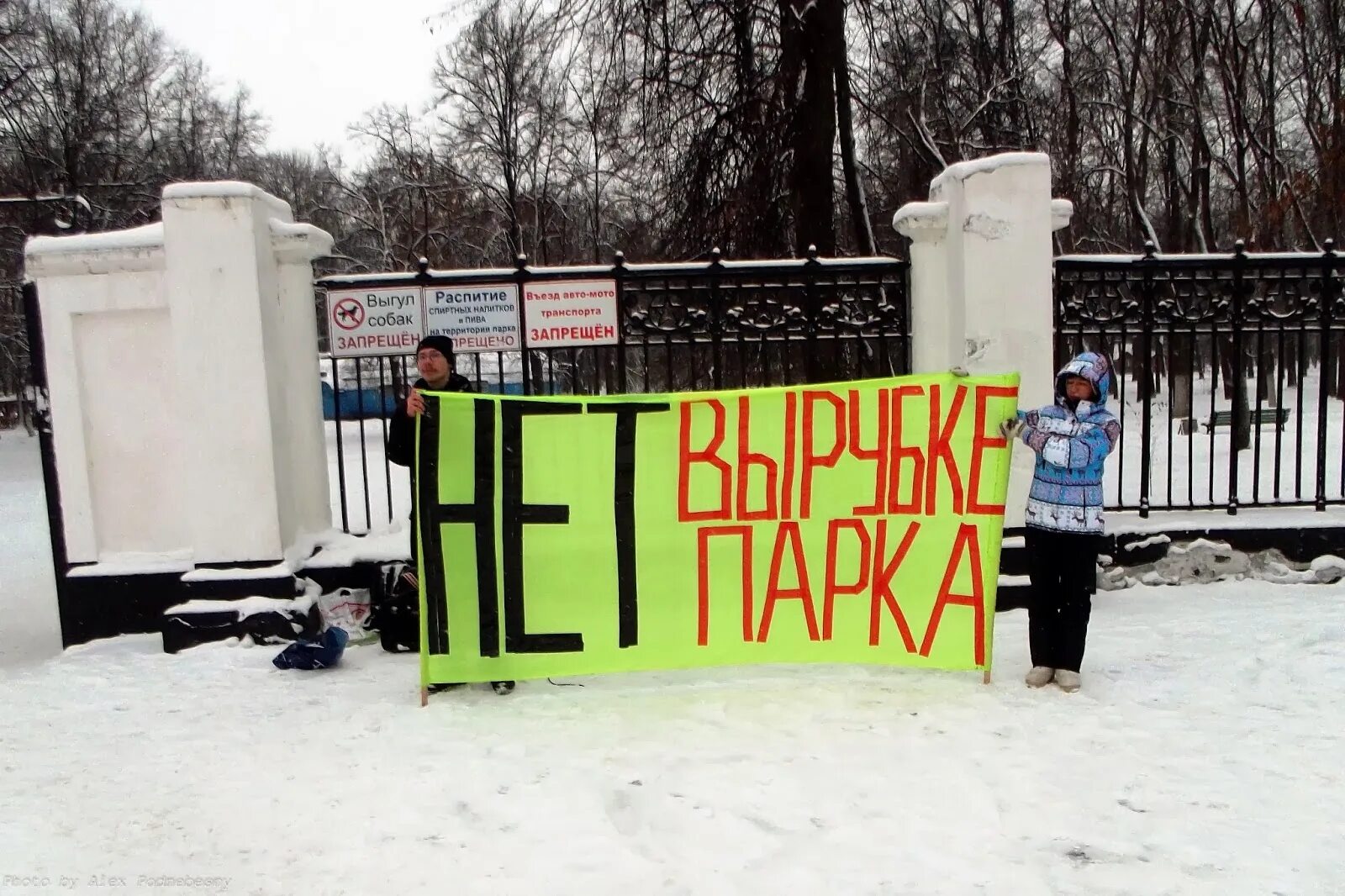 Против вырубки деревьев. Защита скверов от вырубки. защитники зеленых насаждений. подписала в парке.