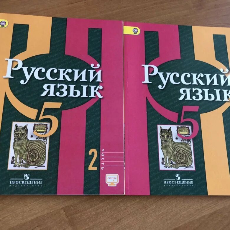 Рыбченкова 9 класс учебник читать. Русский язык рыбченкова. Русскийиязык рыбченаова. Рыбченкова 5. Книга по русскому языку рыбченкова.