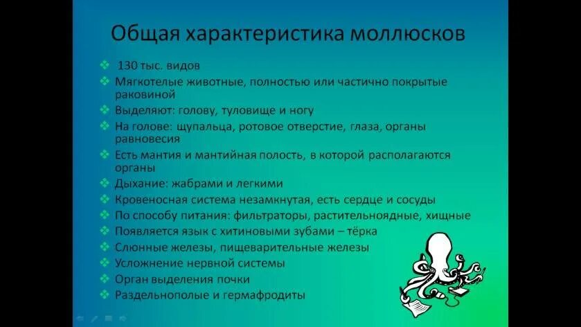 Характеристика моллюсков 7 класс. Общая характеристика моллюсков. общая характеристика моллюски 7 класс по пунктам. характеристика моллюсков кармале.