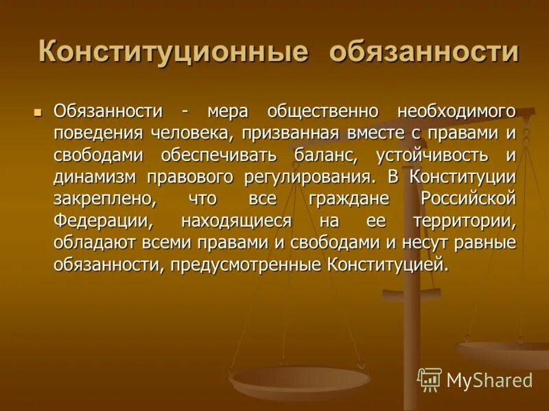 Что означает понятие стабильность конституции. Динамизм Конституции это. Меры конституционной ответственности. Конституционные обязанности. Устойчивость Конституции.