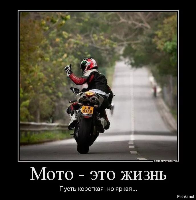 Выражения мотоциклистов. Шутки про мотоцикл. приколы про мотоциклистов. демотиваторы про мотоциклы. прикольные надписи на мото.